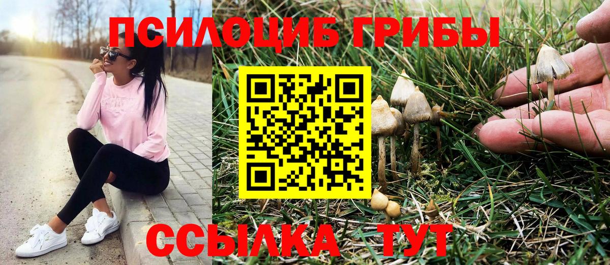 Сочи  Псилоцибиновые грибы ЛСД  Галлюциногенные грибы MAGIC MUSHROOMS  Вход с VPN 